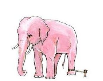 The elephant rope story – Mind is the ruler